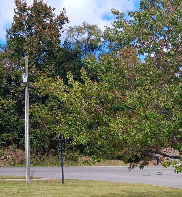 Property Photo:  0 Brandon Ave SW  VA 24015