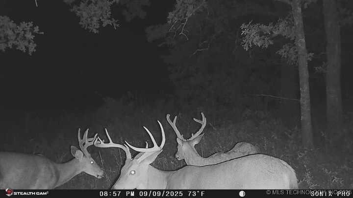 Property Photo:  160 Bowring Road  OK 74003 