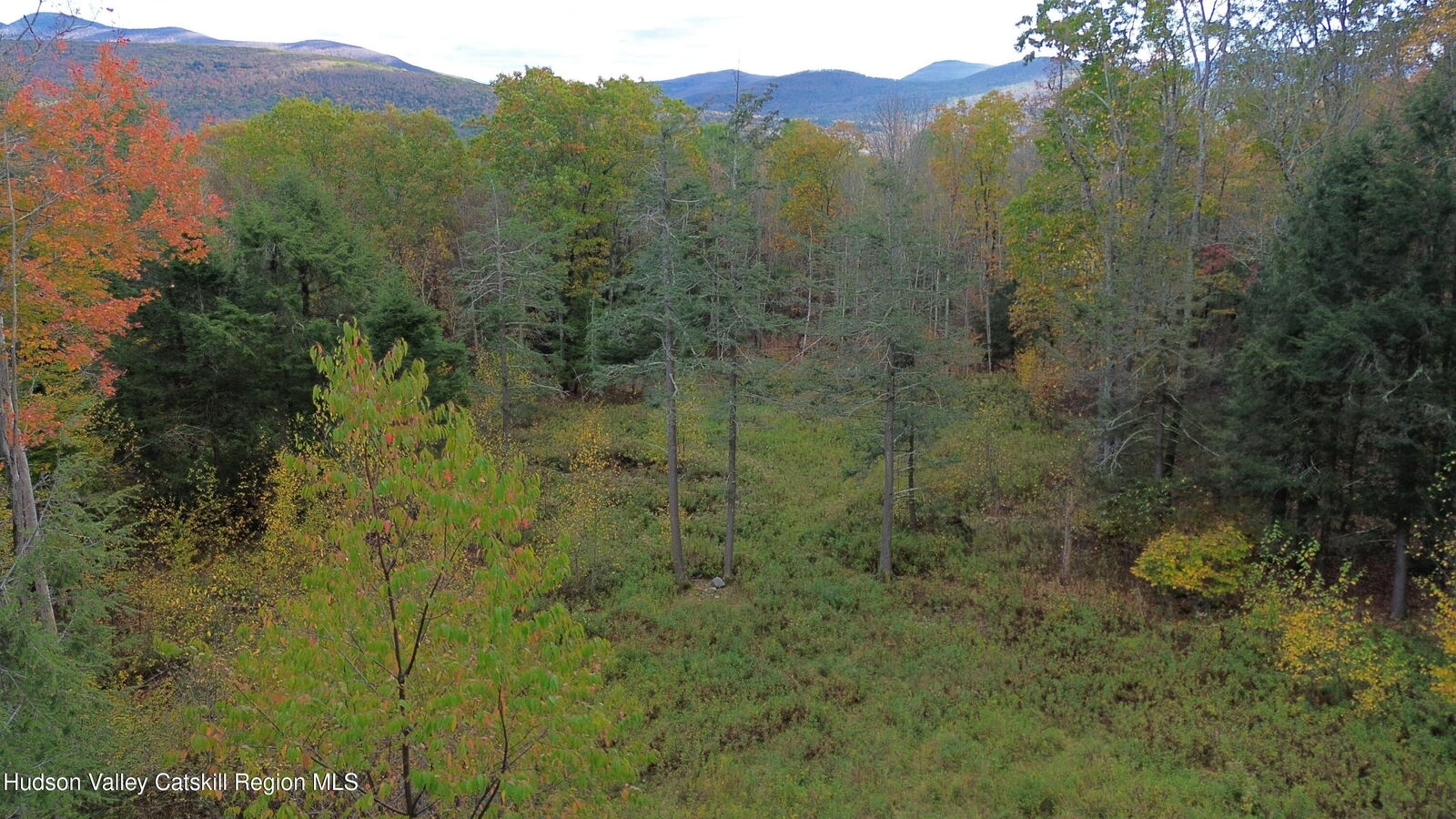 Property Photo:  0 North Ridge  NY 12496 