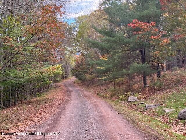 Property Photo:  0 North Ridge  NY 12496 