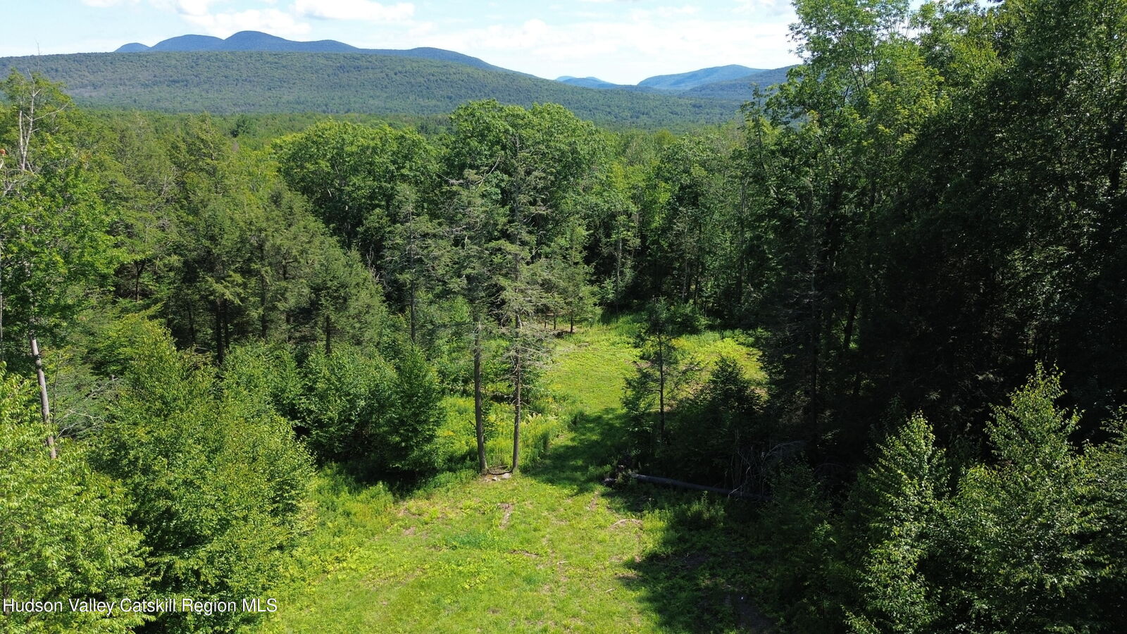 Property Photo:  0 North Ridge  NY 12496 