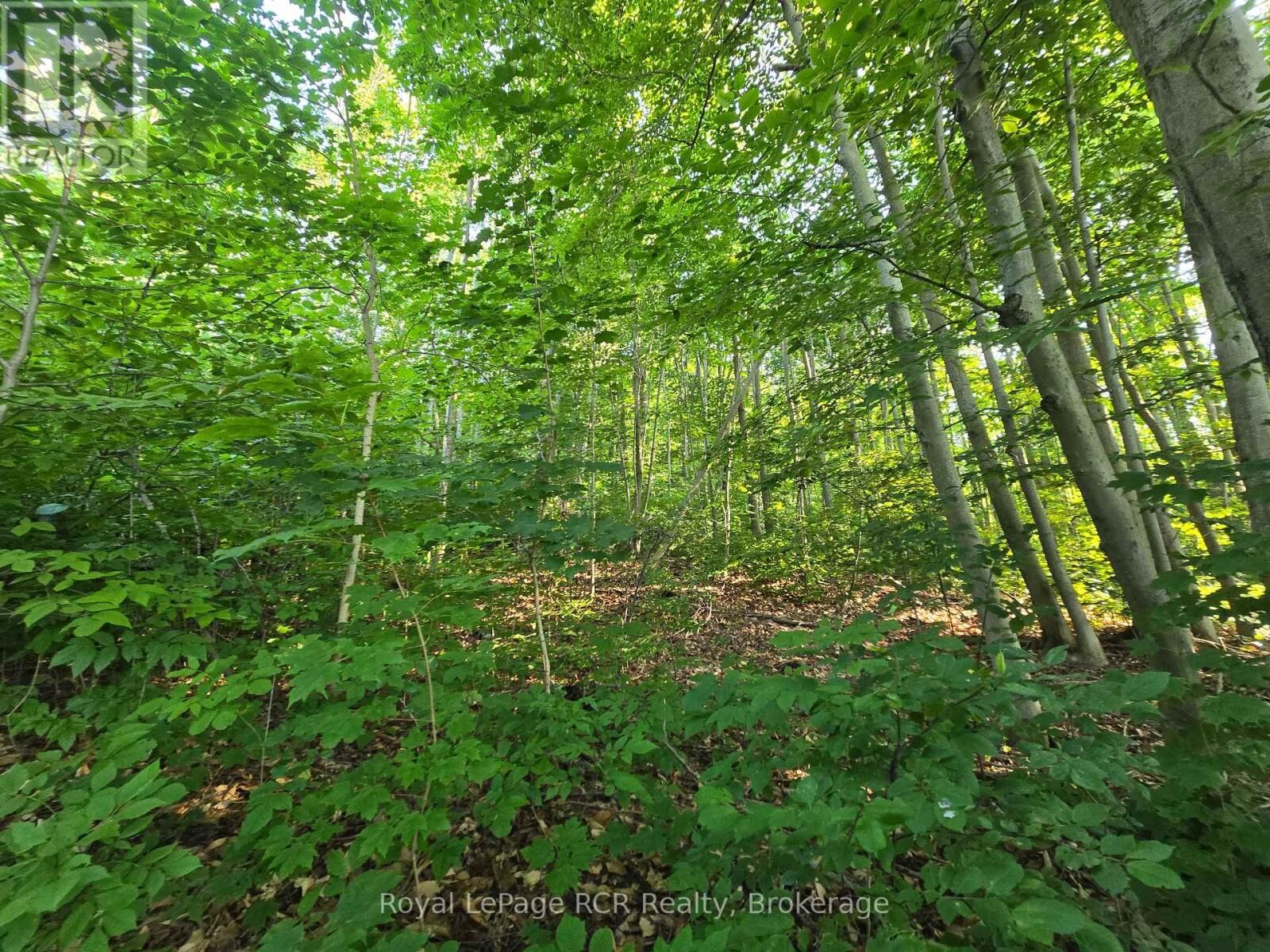 Property Photo:  126 Old Highway 26 Highway  ON N4L 1W7 