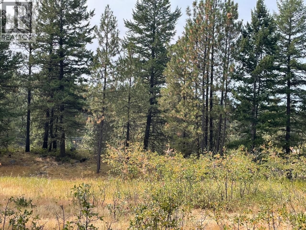 Photo de la propriété:  100 Cougar Court  BC V0H 1V6 