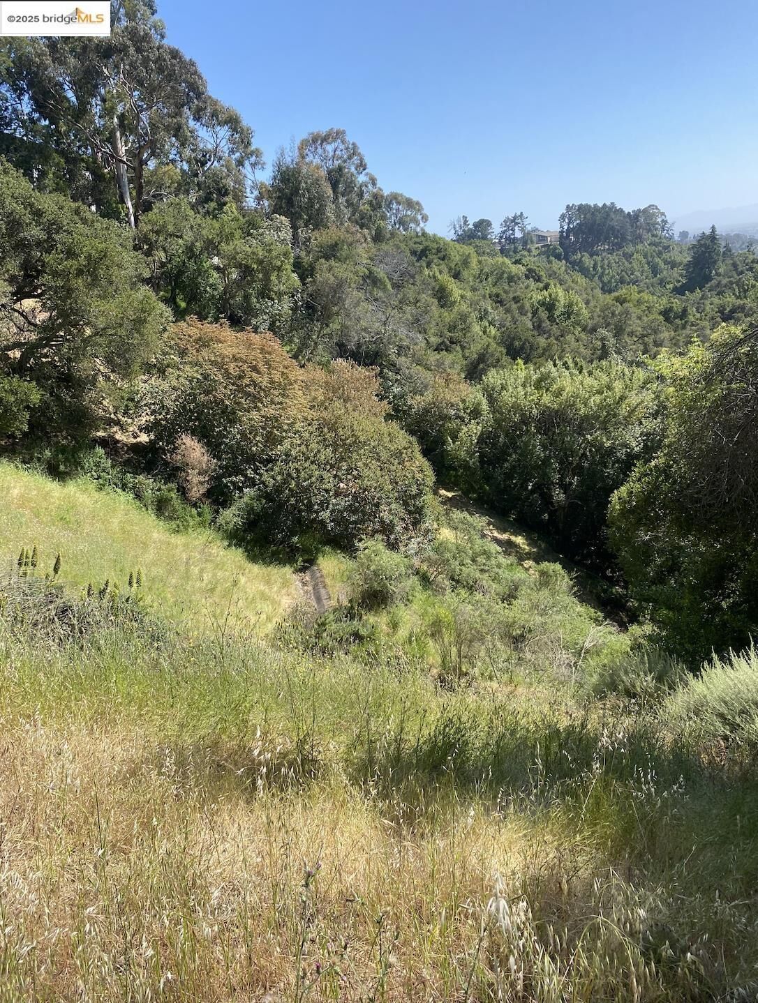 Property Photo: 4145 Oak Hill Rd CA 94605