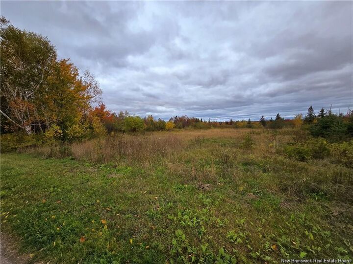 8782sm Blvd Des Acadiens — photo 1