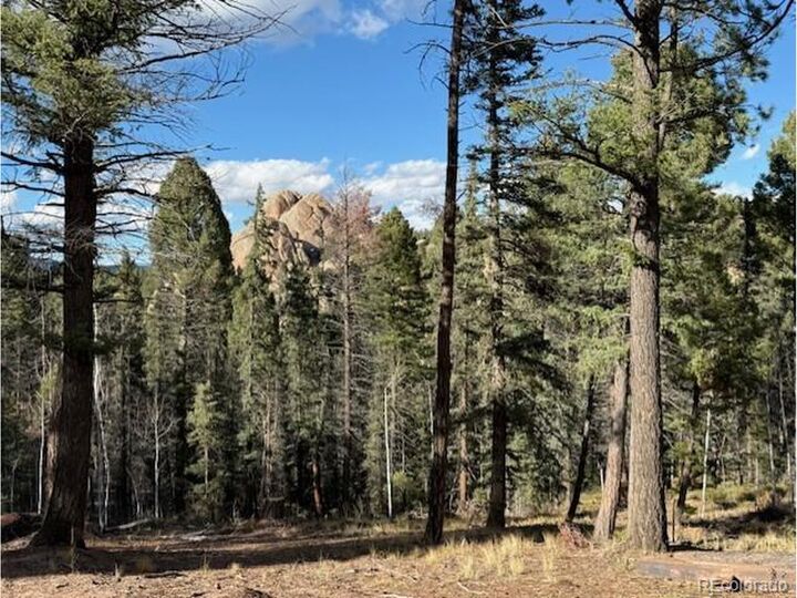 Property Photo:  195 Oxford Pl  CO 80816 