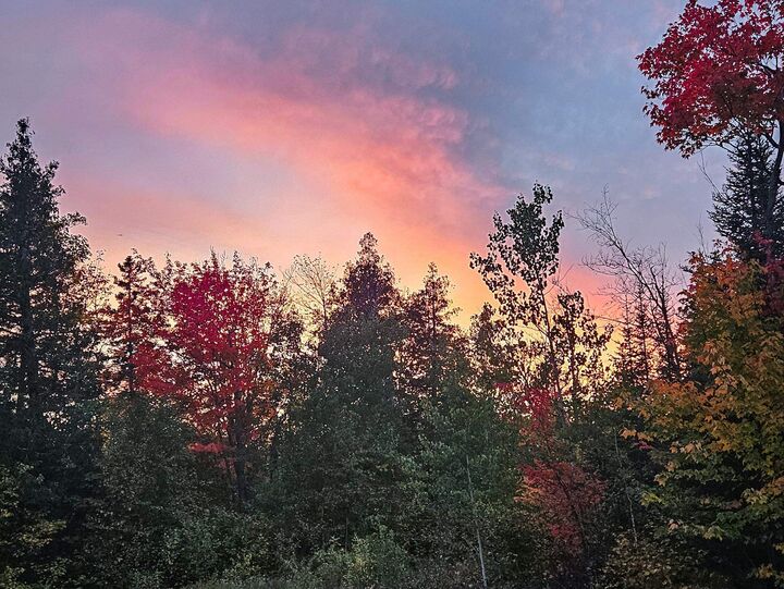 Property Photo: 1541 Camp 20 Rd MN 55606