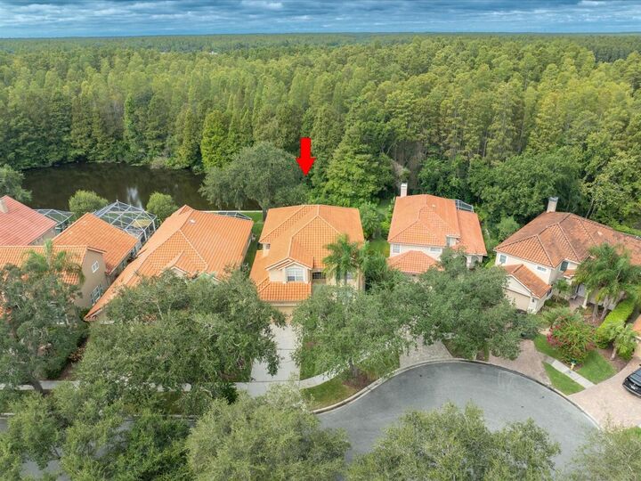 Property Photo: 18810 Place Antibes FL 33558