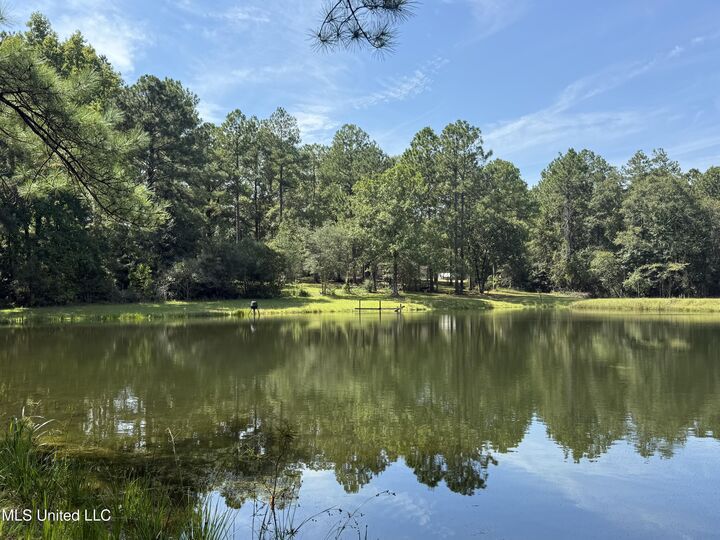 Property Photo: 918 Spring Hill Road MS 39470