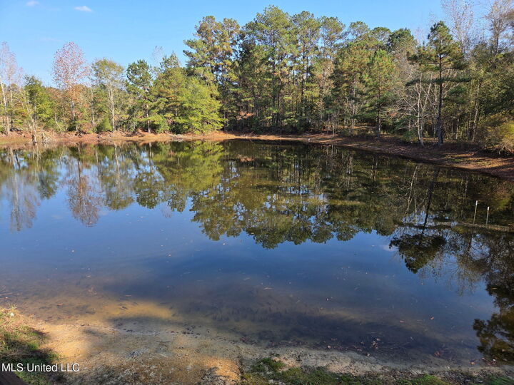 Property Photo: 918 Spring Hill Road MS 39470
