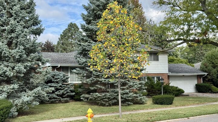 Property Photo: 900 E Golfview Drive IL 60056