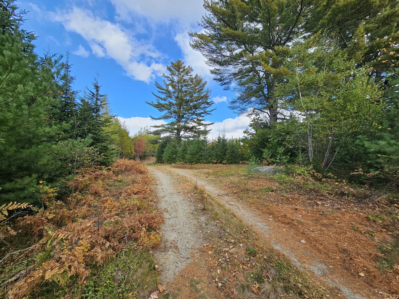 Property Photo: Green Field, Off Georges Pond Road ME 04634