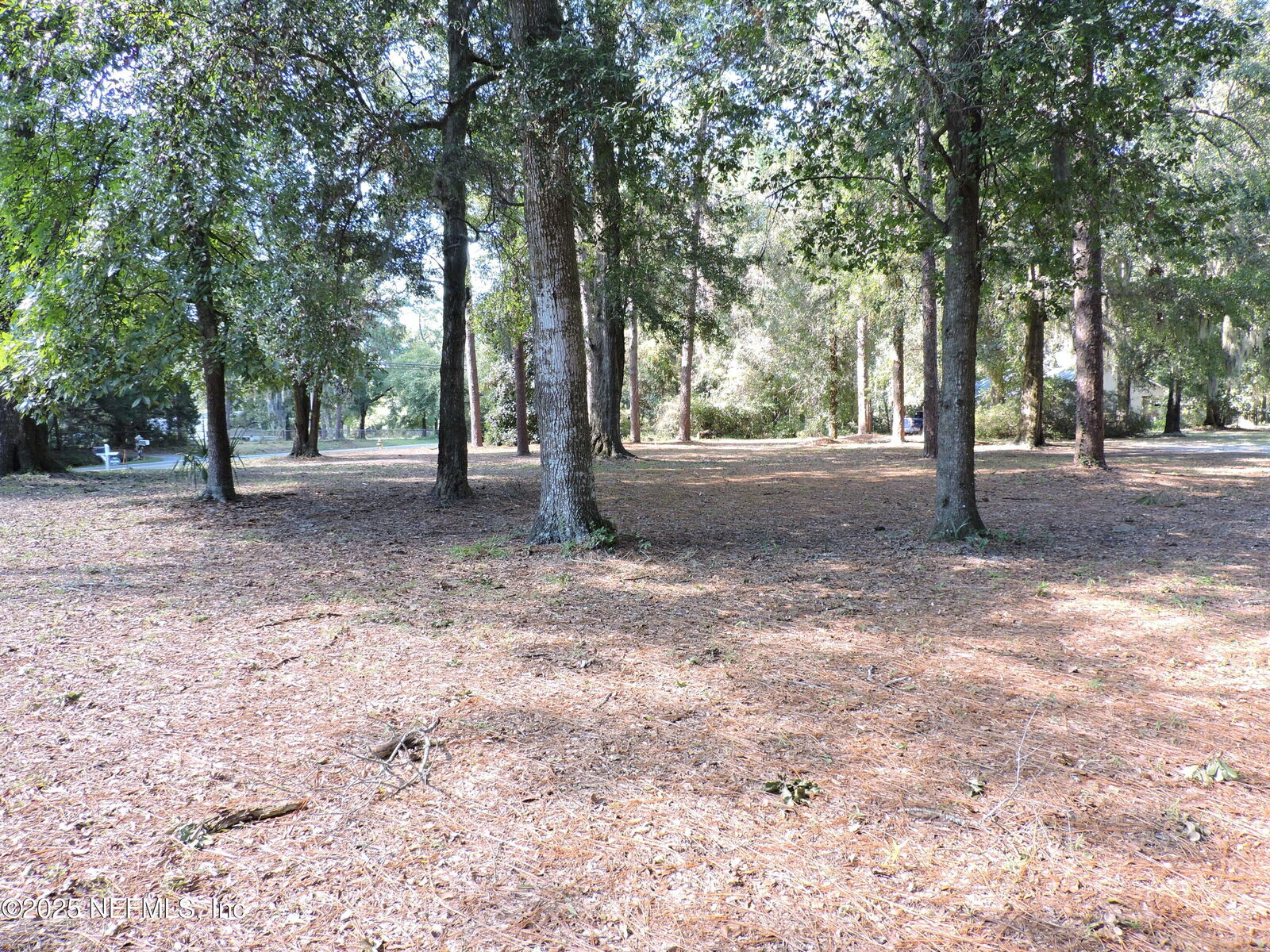 Property Photo:  2955 New Berlin Road  FL 32226 