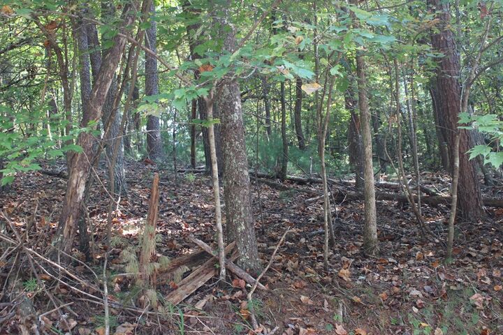 Property Photo: Lot 546 North Satsuma Court GA 30540