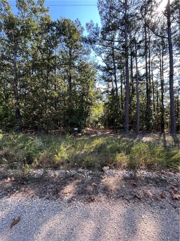 Property Photo: Tbd Cr 240 AR 72631
