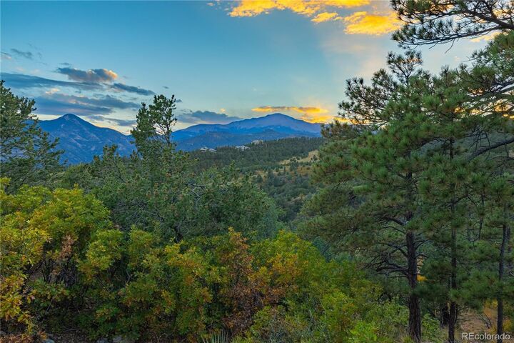 Property Photo: 3760 Twisted Oak Circle CO 80904