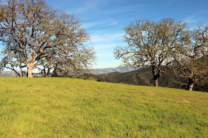 Property Photo: 5 Black Mountain Trail (Lot 247) Trail CA 93923