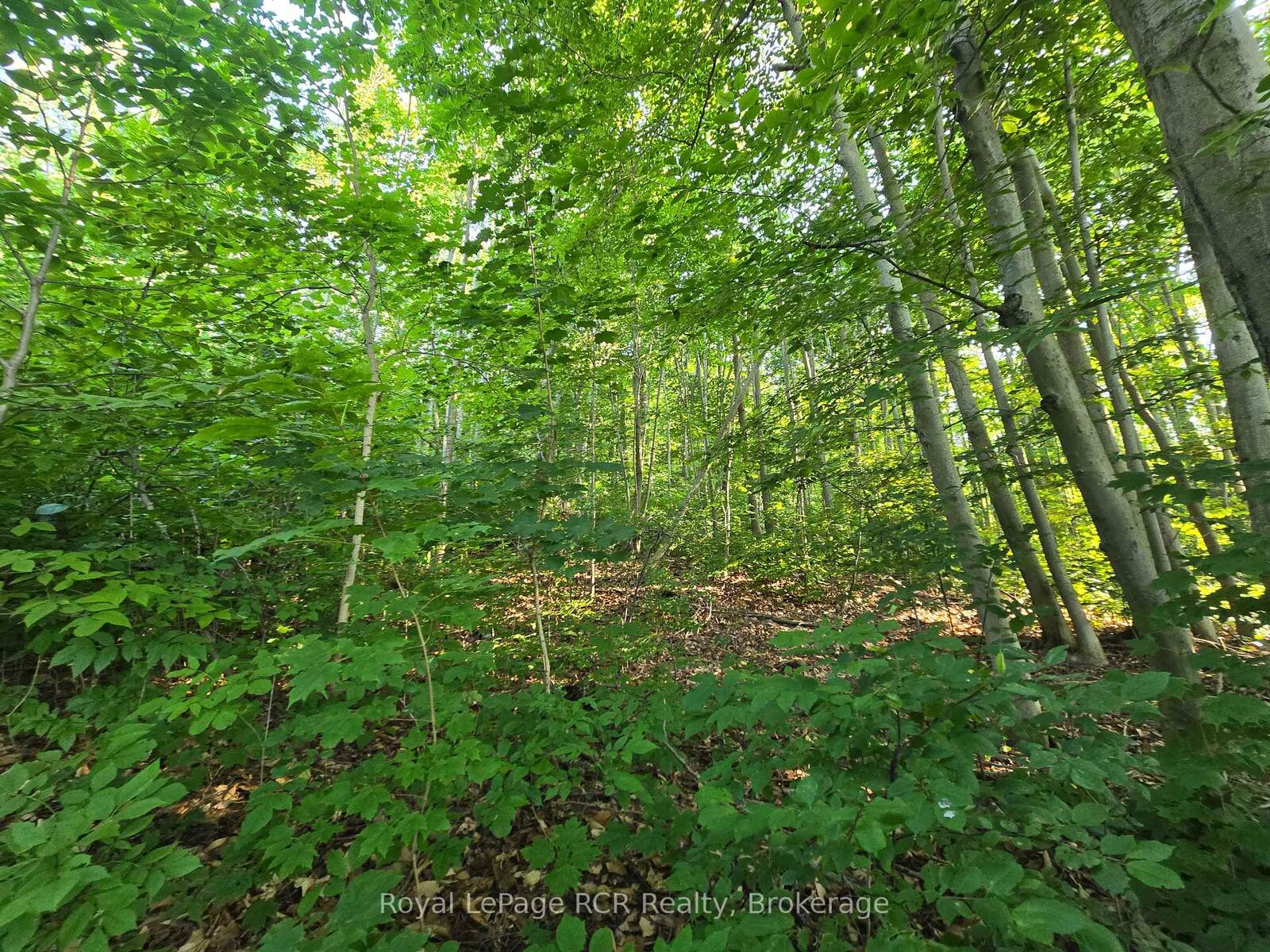 Property Photo:  126 Old Highway 26 Highway  ON N4L 1W7 
