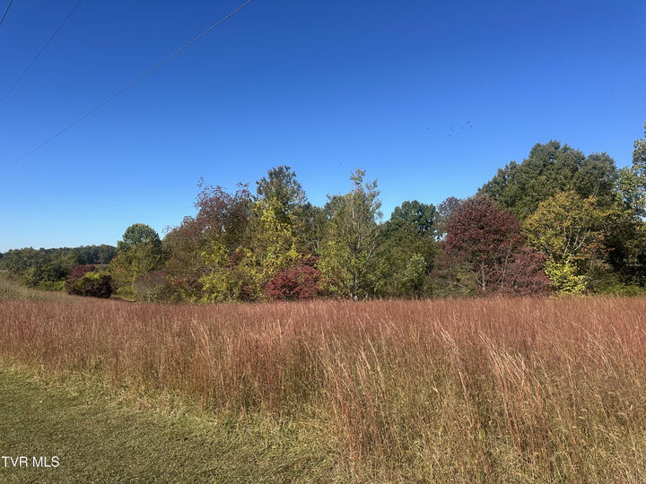 Property Photo: 113 Briarpatch Court TN 37656