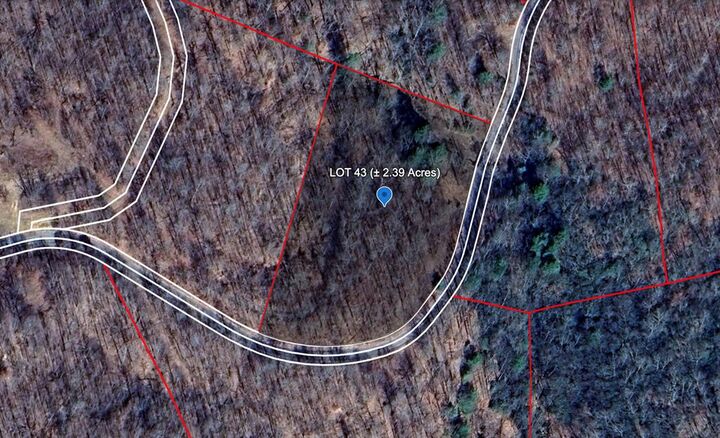 581 Flatwoods Road  Bragg WV 25918 photo