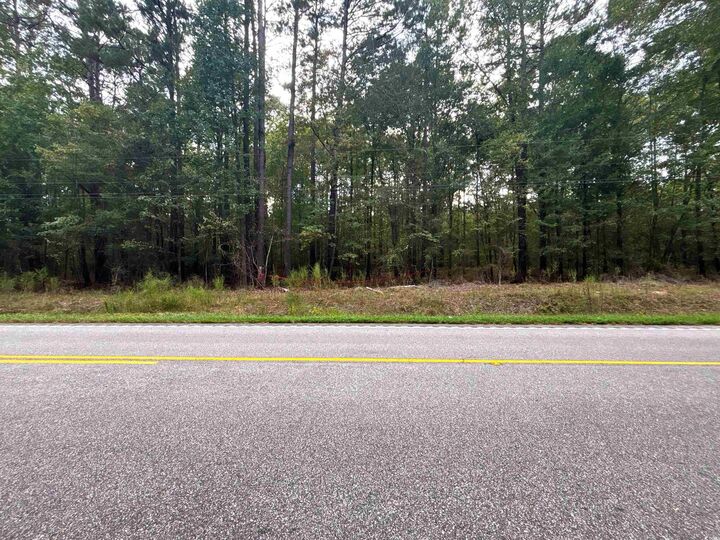 Property Photo: 0 Marlboro Way SC 29512
