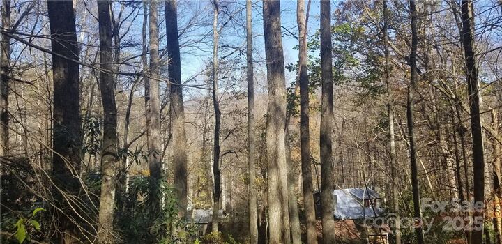 Property Photo: Lot C31 Shady Lane NC 28751