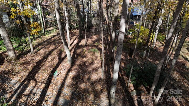 Property Photo:  Lot C31 Shady Lane  NC 28751 