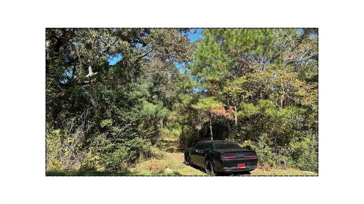 Property Photo:  2581 Old Riggs Mill Road  GA 30458