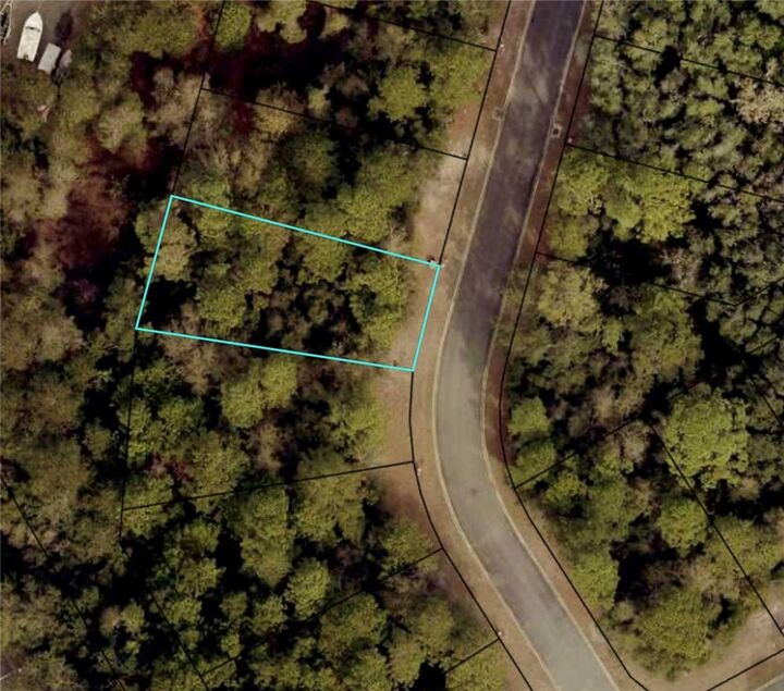 Property Photo:  0 Stern Street  GA 31558 