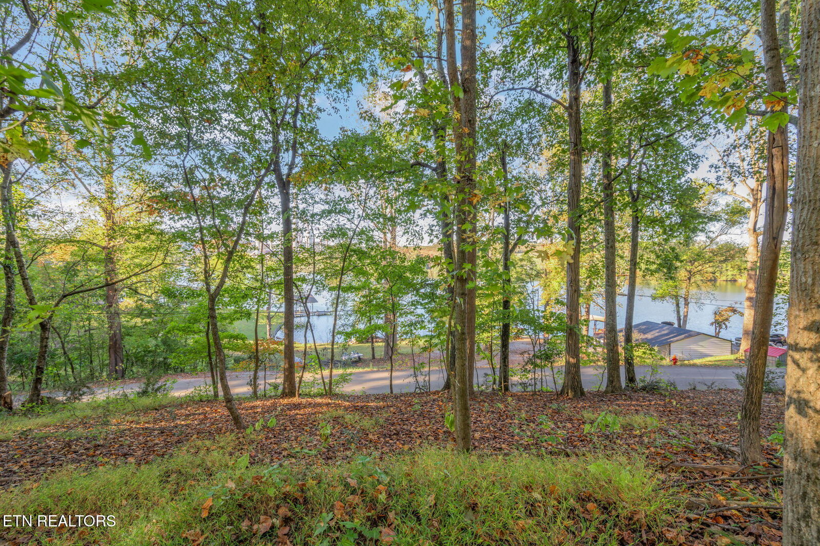 Property Photo: Lakewood Rd TN 37763