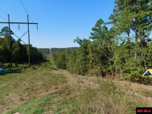 Property Photo:  009-02955-000 Owens Drive  AR 72653 
