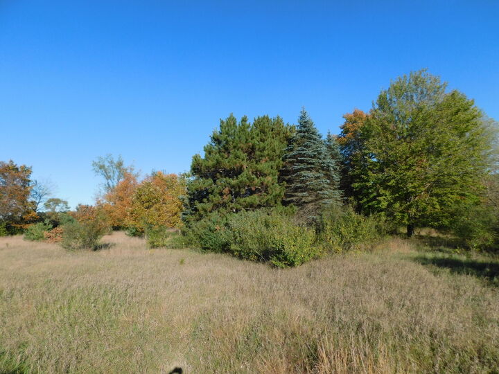 Property Photo:  10 N Ravenna Road  MI 49451