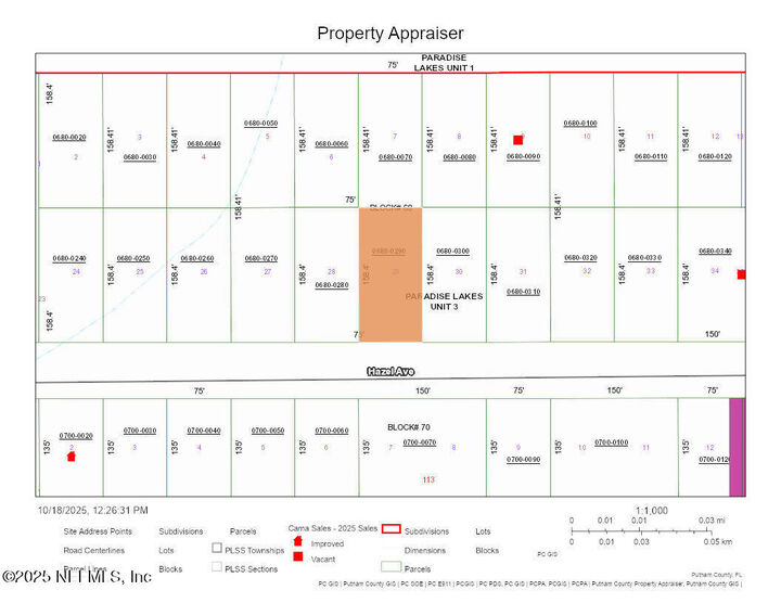 112 Hazel Avenue  Georgetown FL 32139 photo