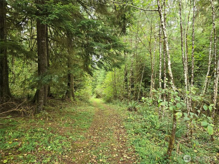 Property Photo: 0 Lund Road WA 98537