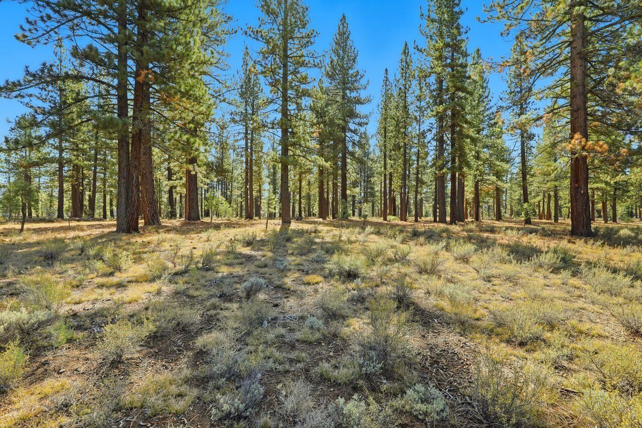 Property Photo: 11111 Henness Road CA 96161