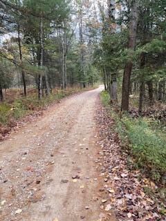Property Photo:  V/L Lot 23 Blue Springs Trail  MI 49632