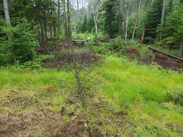Property Photo: 0 Bear Cub Lane NY 12946