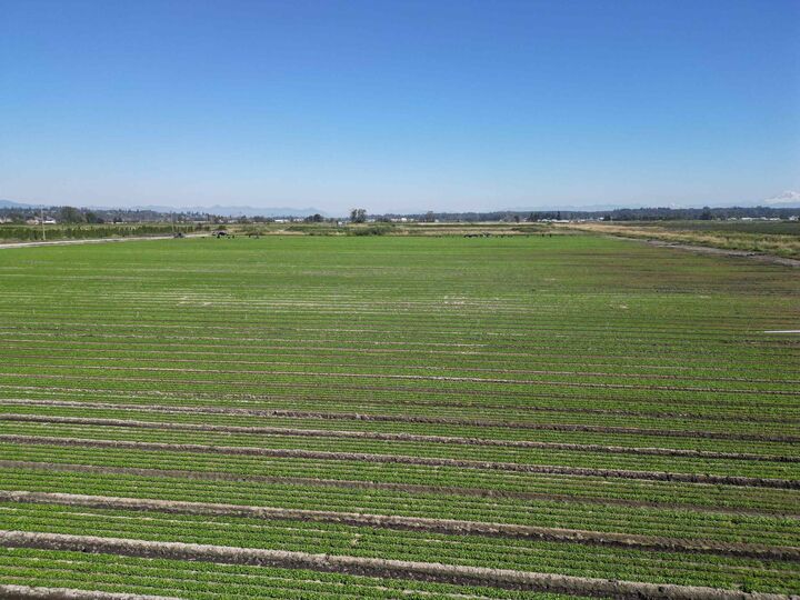 Property Photo:  4444 168 Street  BC V3Z 1E3 