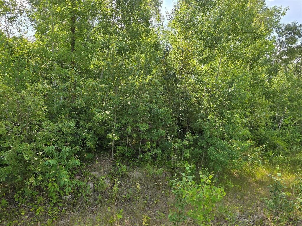 Property Photo: 57 Sunset Bay MB R0E 0T0