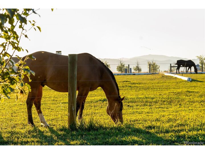 Property Photo: 7755 Valleyview Cir CO 80550