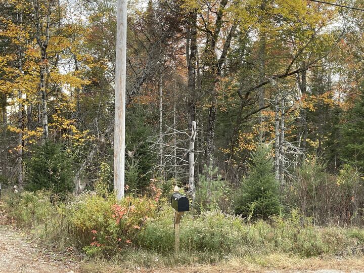 Property Photo: 3306 Mariaville Road ME 04605