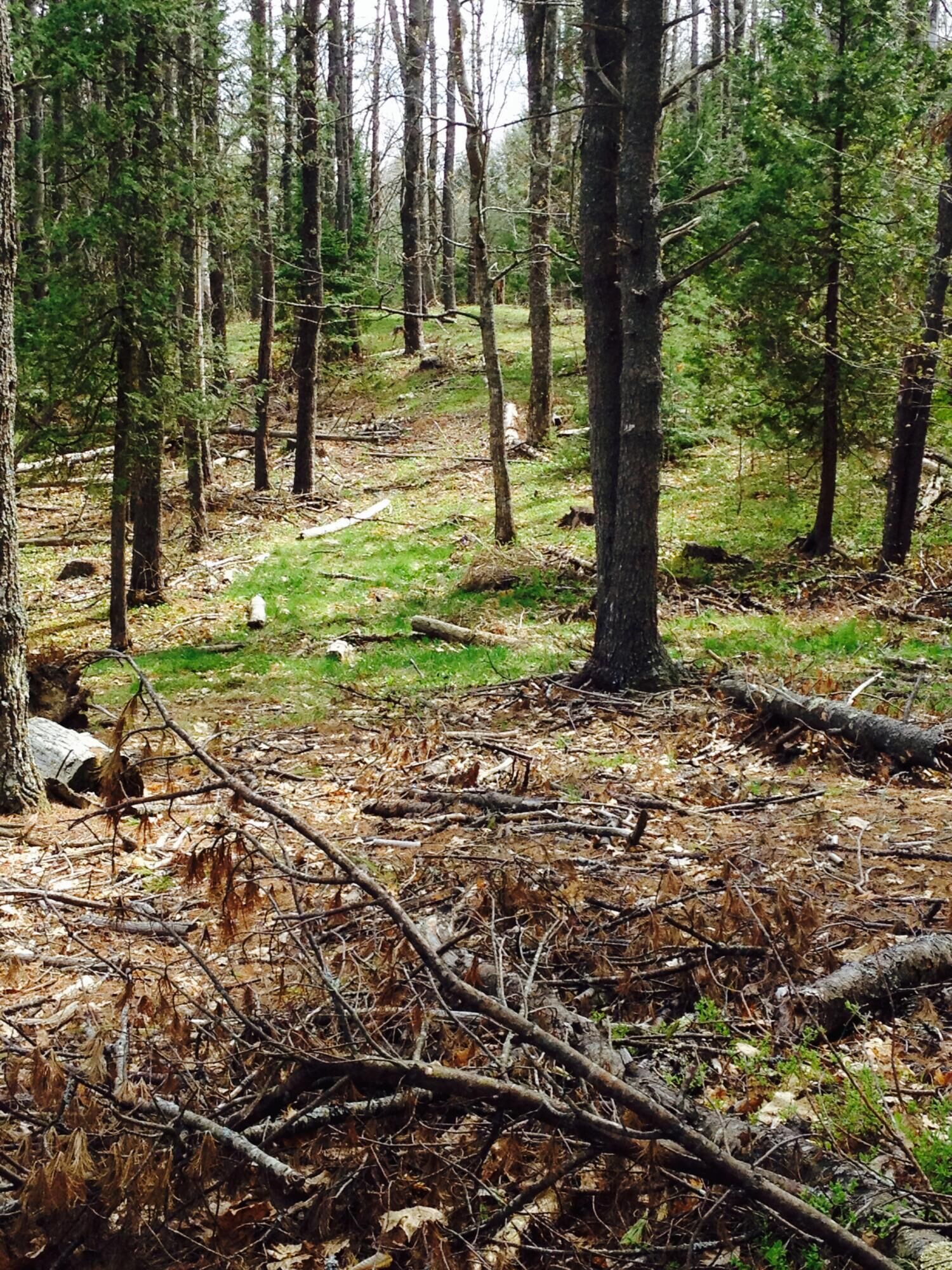 Property Photo:  18 Peterson Lane  ME 04011 