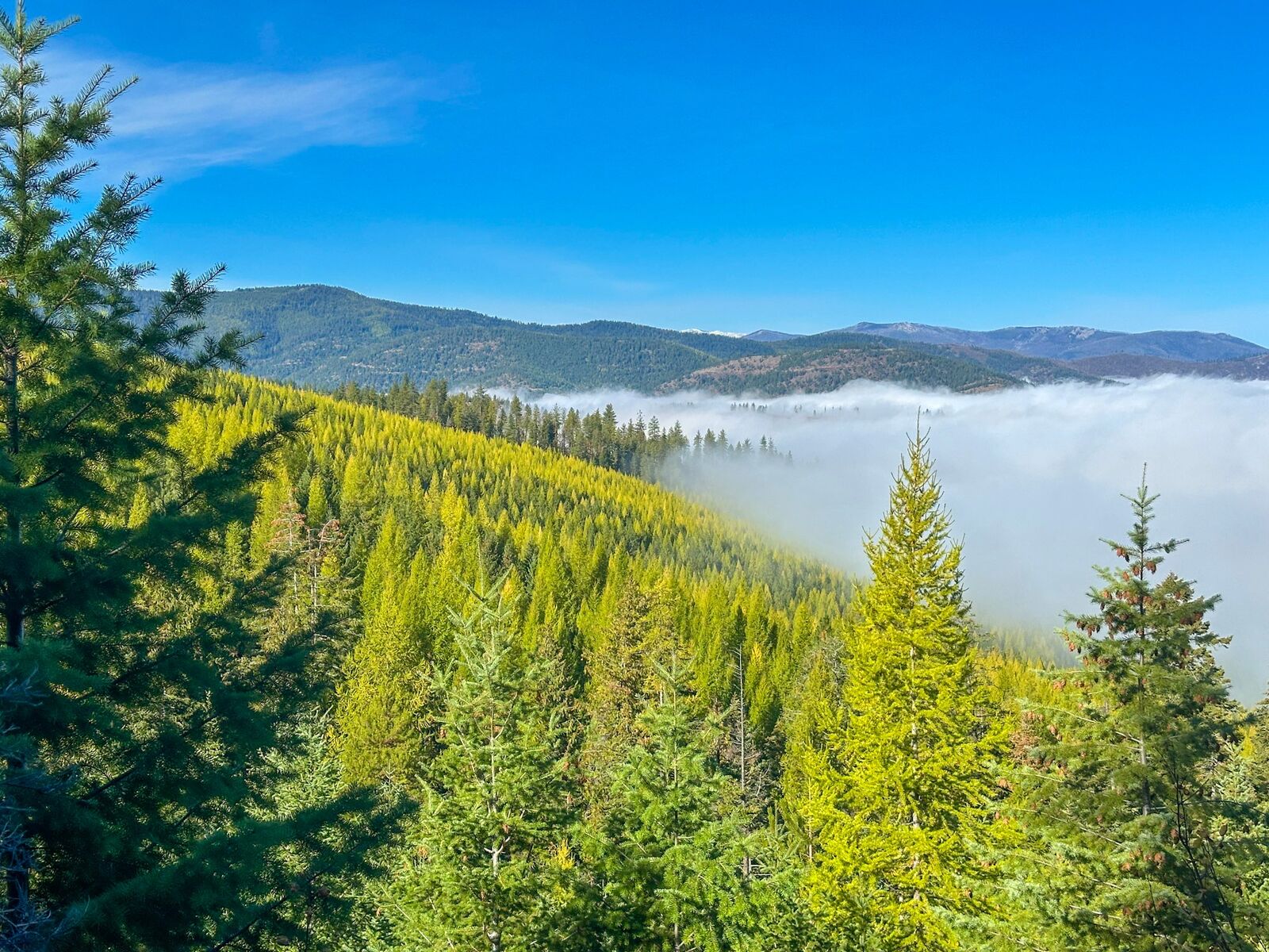 Property Photo:  Nhn Pats Knob Road  MT 59859 