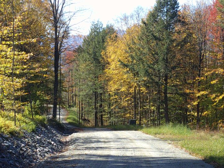 Property Photo:  0 Dogwood Springs Road  VT 05672 