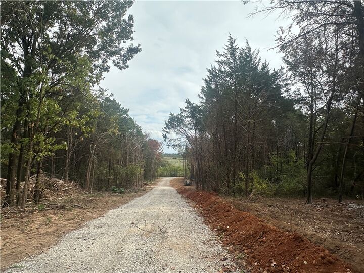 Property Photo:  740 County Road 906  AR 72638 
