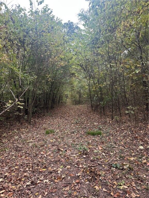 Property Photo:  County Road 990  AR 72638