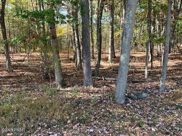 Property Photo:  Lot 3 Aspen Road  PA 18328