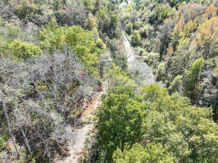 Property Photo: 00 Bruner Grove TN 37713