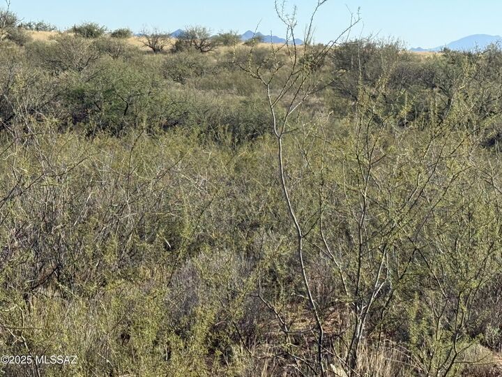 Property Photo: Lot 105 E Cottontail Trail AZ 85630