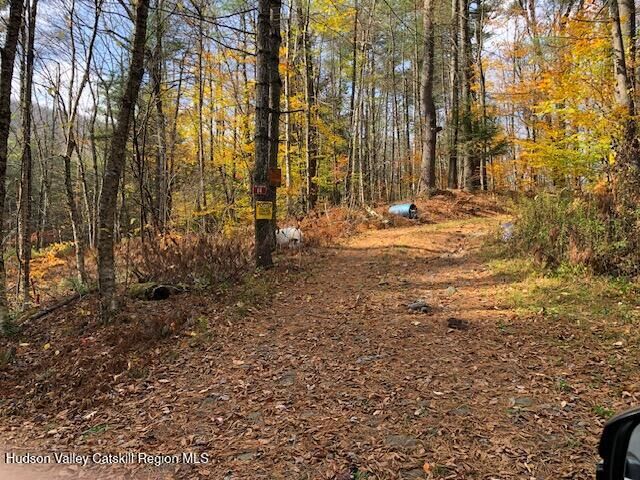 Property Photo: 64 Mink Hollow NY 12492